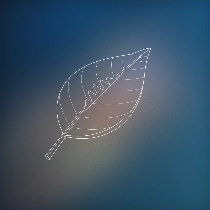 Leaf