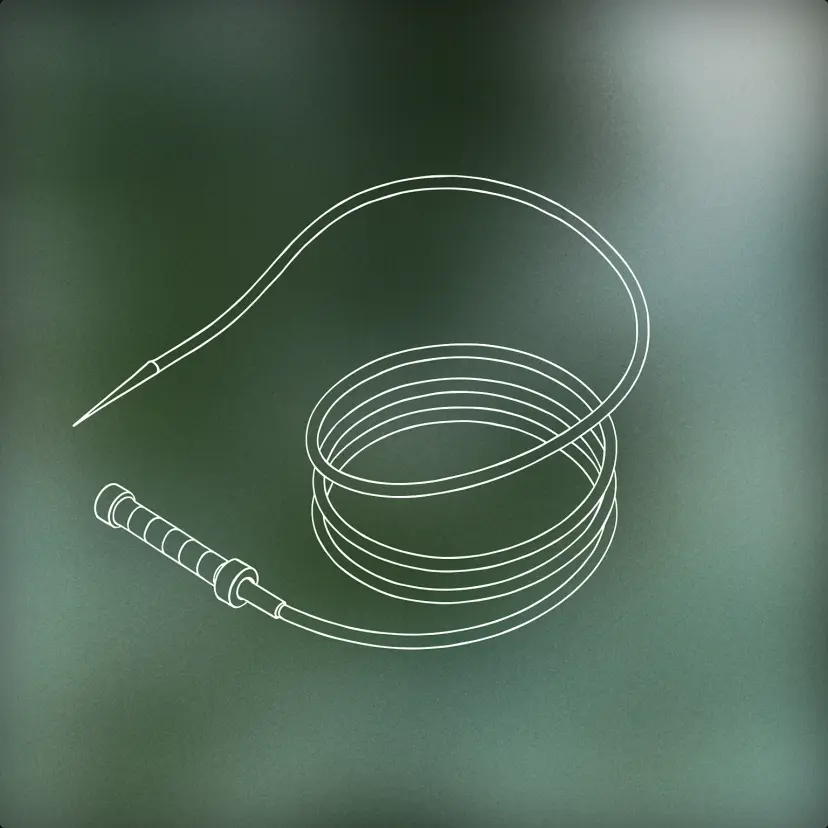 Bullwhip