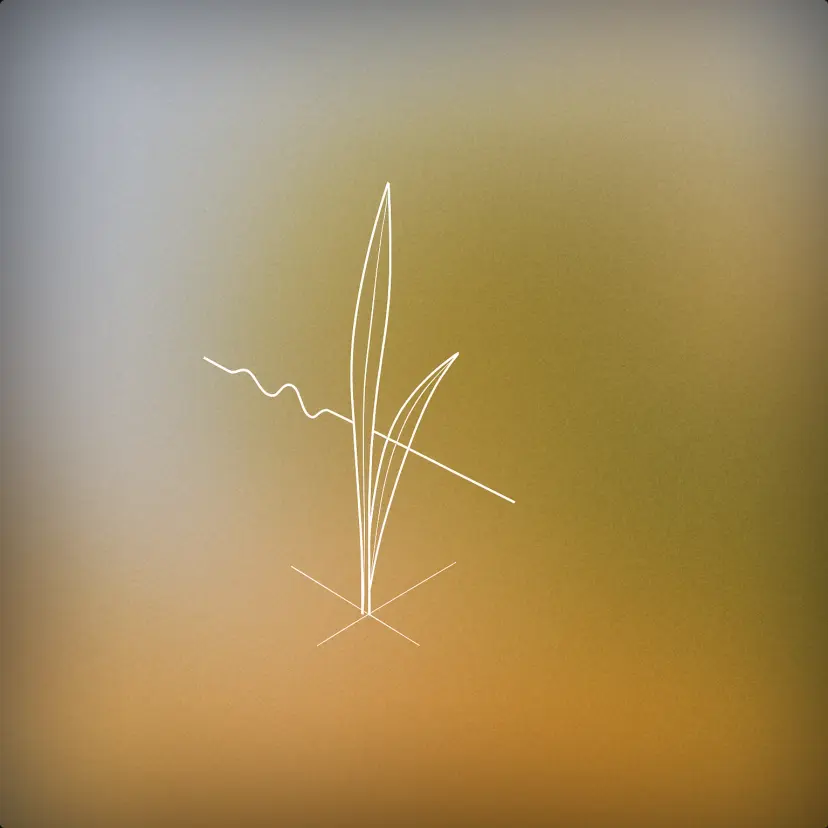 Grass