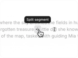 Split & Merge Segments