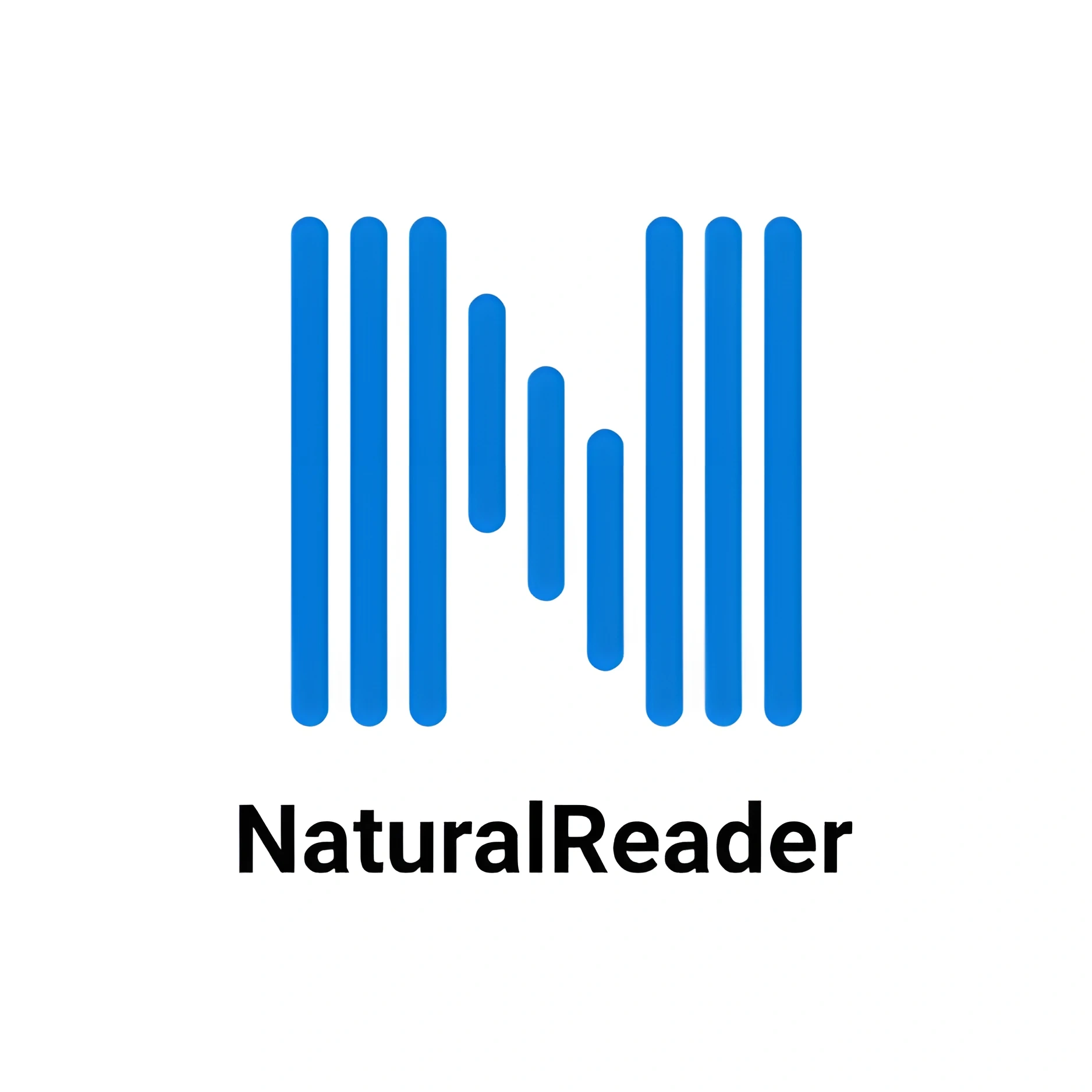 Logo with blue vertical lines forming a stylized "N" and "R" with the text "NaturalReader" below.