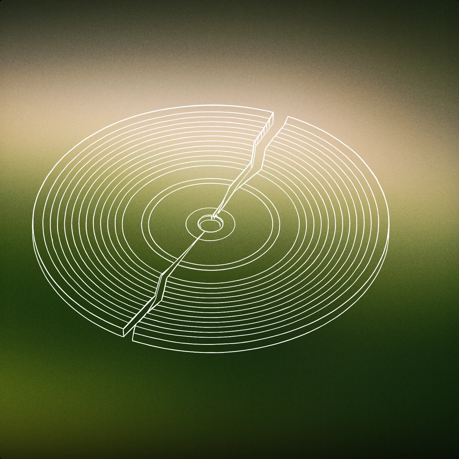 Cover of a broken vinyl record with a visible crack through its center for Wrong sound effects