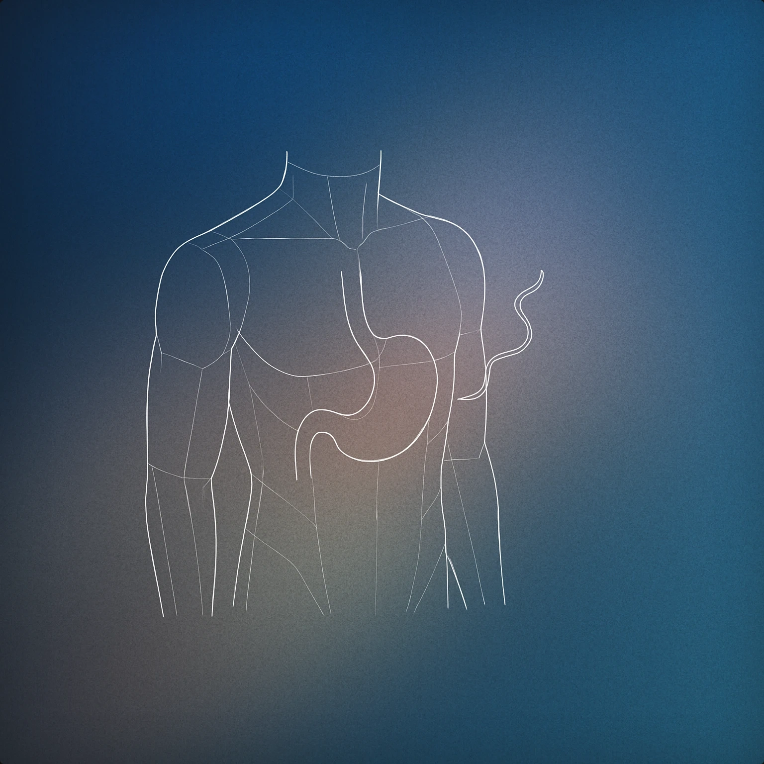 Cover of stylized human torso with a visible, simplified stomach shape and a single wavy line emanating from it for Stomach Rumbling sound effects