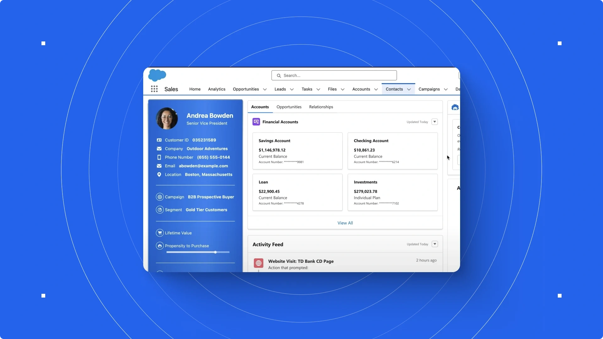 Screenshot of a Salesforce dashboard showing a customer profile and financial account details.